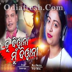 Tu Diwana Mu Diwani  - New Romantic Album Song